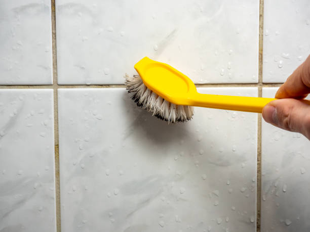 Best Mold Remediation  in Pasadena, MD